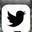X (Twitter)